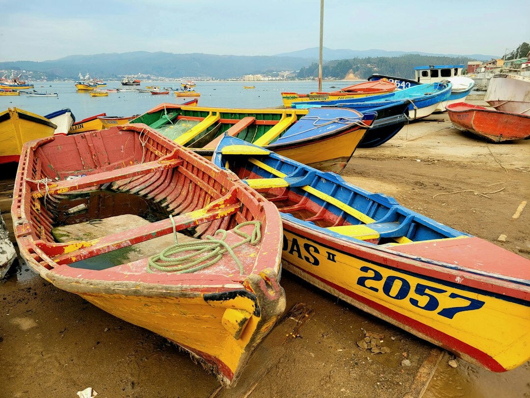 Chilean fishermen unloading their boat at a coastal village